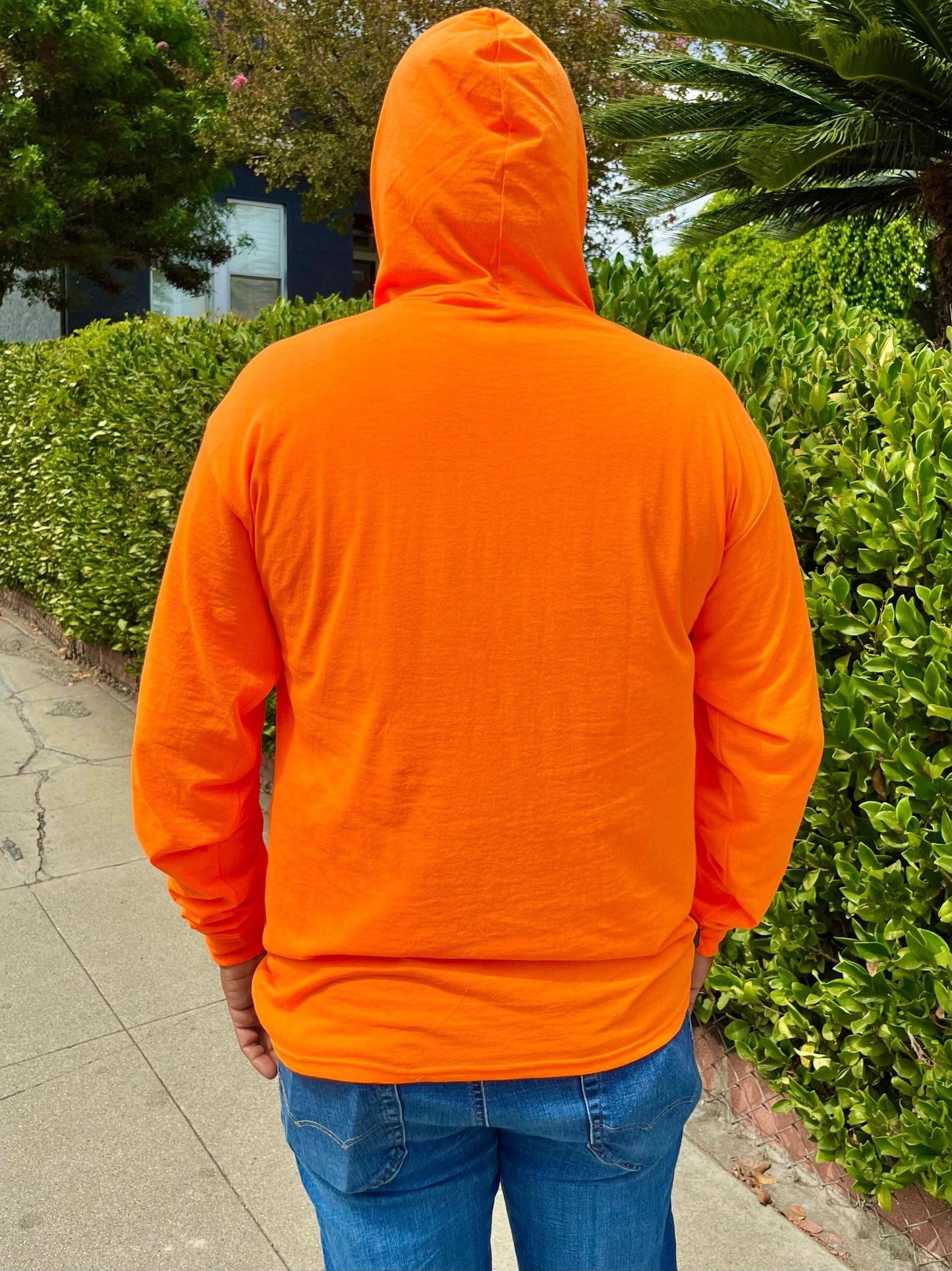 Long Sleeve T-shirt with Hoodie