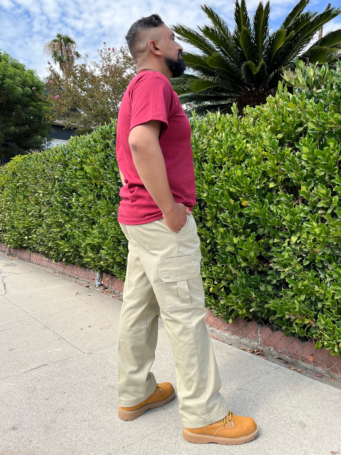 Dickies Cargo Pants Regular Fit